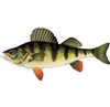 perch